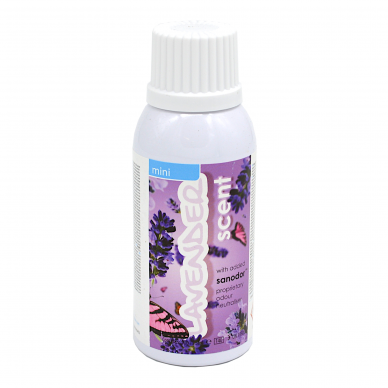 Oro gaiviklis Mini Lavender, 75/100 ml